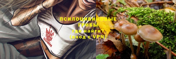 a pvp Зерноград