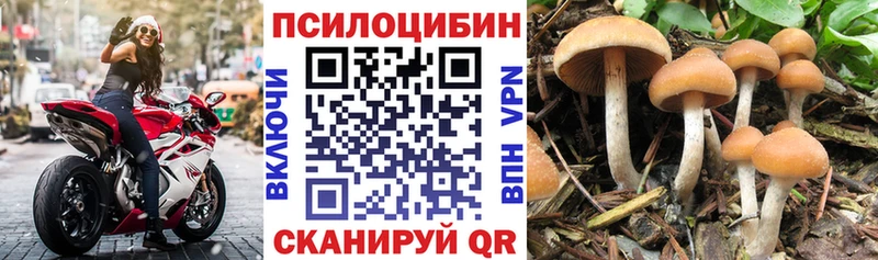Псилоцибиновые грибы GOLDEN TEACHER  Купить закладки  Владивосток 