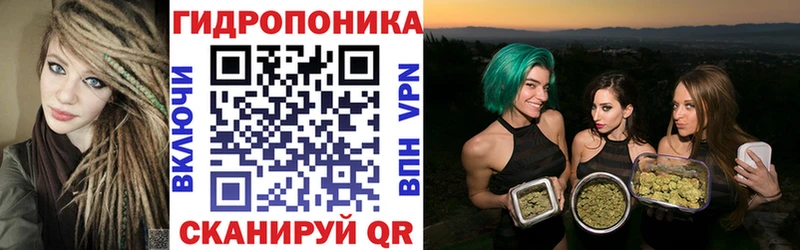 Шишки марихуана план  Купить закладки  Владивосток 